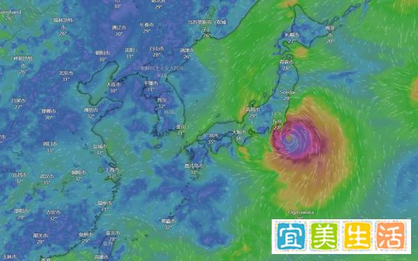 东京、横滨、大阪、名古屋、京都分别位于日本本州、北海道、四国、九州