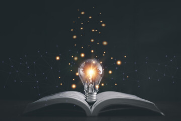 刘若英拍过的电影_刘若英拍的电影叫什么