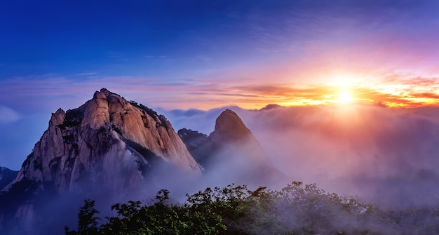 刘若英拍过的电影_刘若英拍的电影叫什么